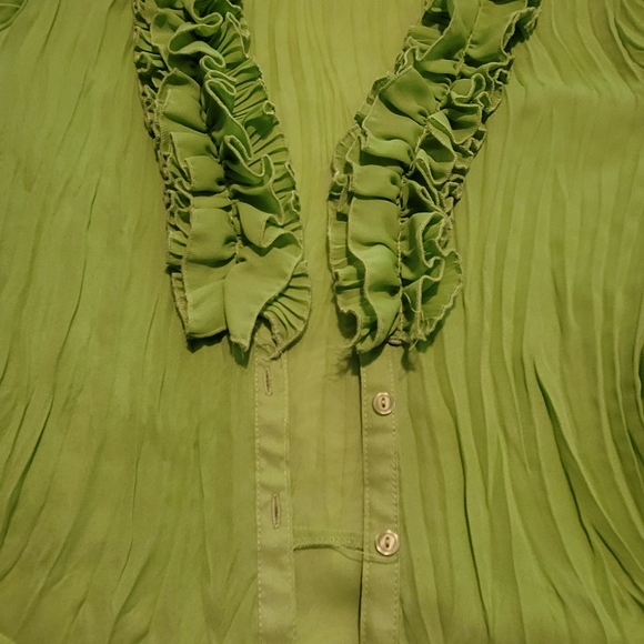 Allison Taylor green blouse - Picture 4 of 6